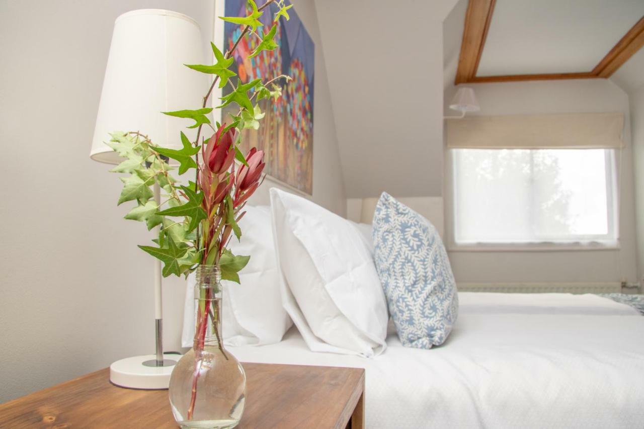 Hotel Casa Marron Villarrica Ngoại thất bức ảnh